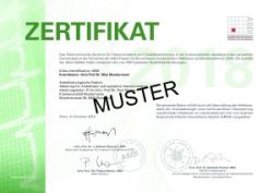 Infektionszertifikat MusterBild 251